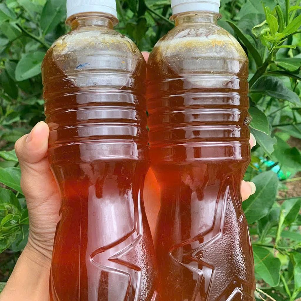 mật ong khoái rừng chuẩn tự nhiên