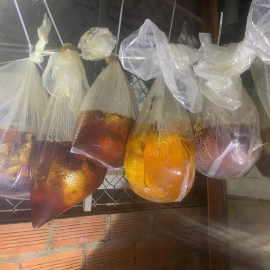 mật ong rừng nguyên chất tự nhiên